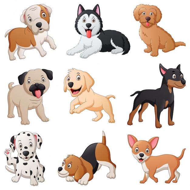 Vetor conjunto de desenhos animados de cachorro fofo. ilustração