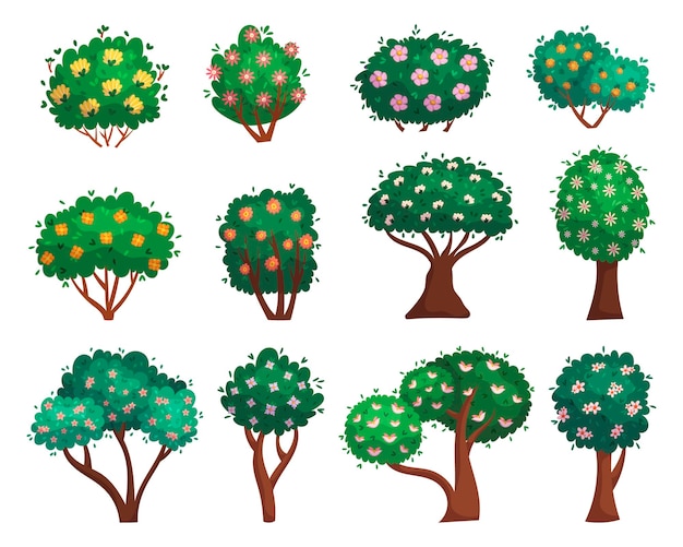 Vetor conjunto de desenhos animados florescendo árvores e arbustos isolados de plantas de folha caduca em elementos de paisagem de jardim de fundo branco