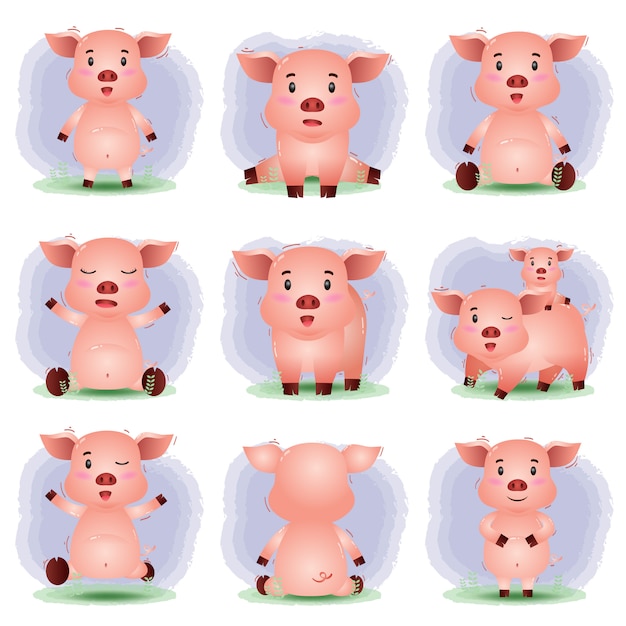 Conjunto de desenhos animados vetor de porco bonito