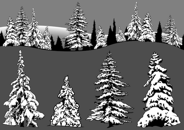 Vetor conjunto de desenhos de árvores coníferas nevadas