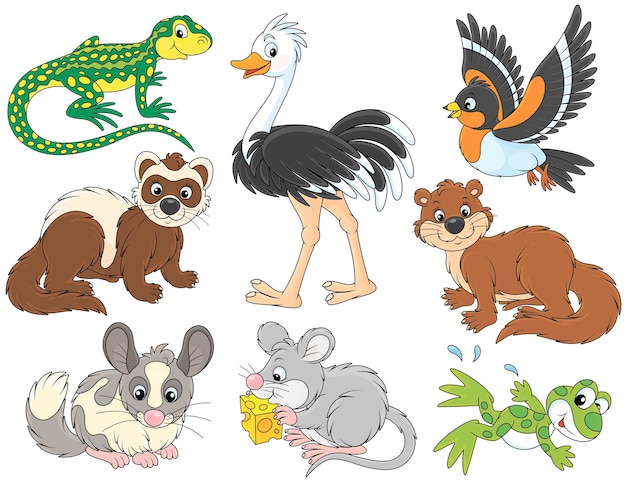 Conjunto de desenhos vetoriais de um lagarto, sapo, avestruz, tentilhão, doninha, chinchila, rato e lontra