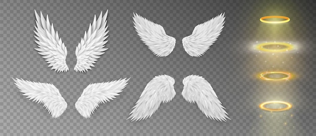 Conjunto de diferentes asas de anjo branco 3d realistas masquerade festival carnaval fantasia de asas de pássaro