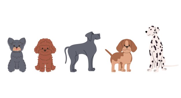 Vetor conjunto de diferentes cães ilustração plana vetorial personagens de desenhos animados