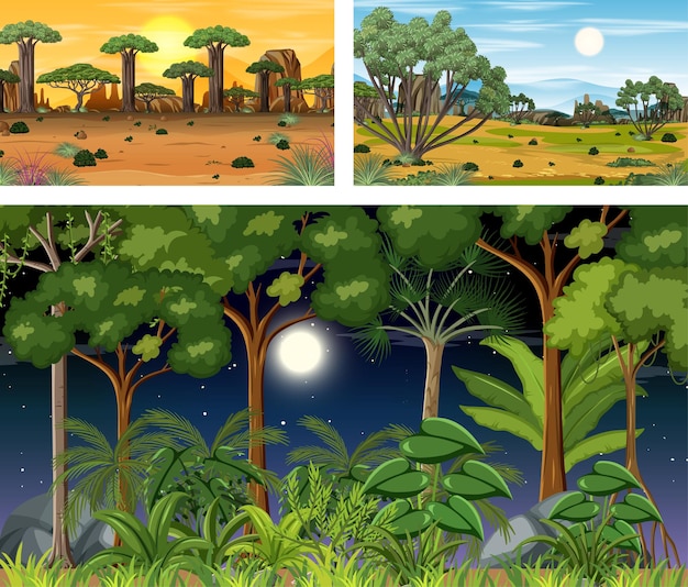Conjunto de diferentes cenas horizontais de floresta