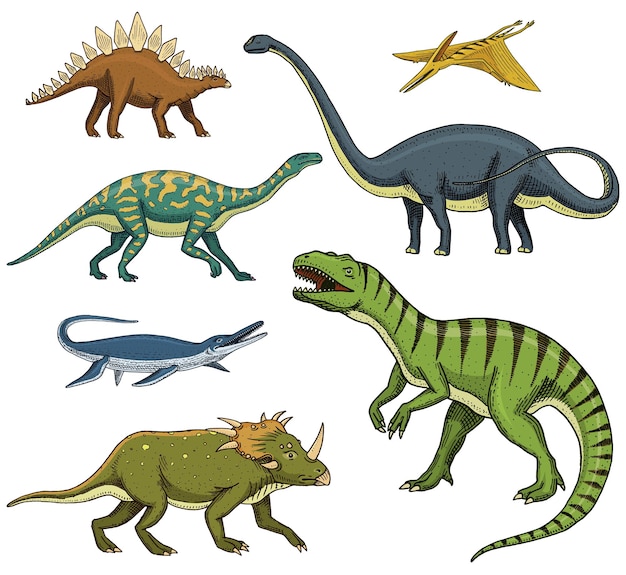 Grupo De Dinossauros. T Rex, Brachiosaurus, Pteranodon E Triceratops.  Animais Jurássicos. Crianças Brinquedos, Atração E Parque De  Entretenimento. Ilustração De Desenho Animado Isolada No Fundo Branco Foto  Royalty Free, Gravuras, Imagens e