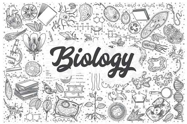 Conjunto de doodle de biologia desenhada de mão. letras - biologia