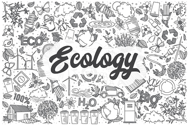 Conjunto de doodle de ecologia desenhada de mão. letras - ecologia