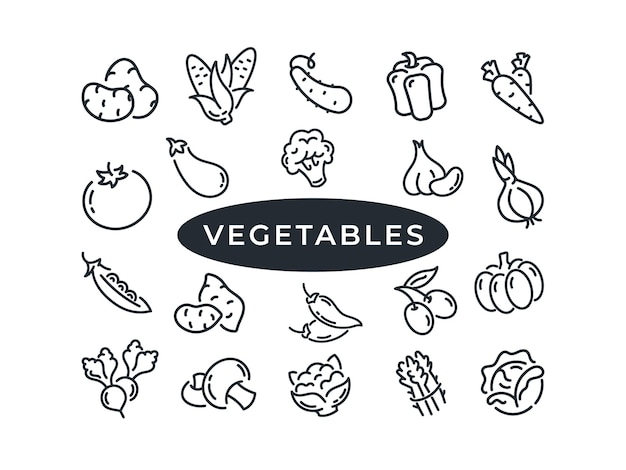 Conjunto de doodles de ícones de linha de legumes. desenhos de ilustração de tomate azeitonas alho. cozinhando especiarias.