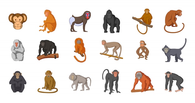 Vetor conjunto de elemento de macaco. conjunto de desenhos animados de elementos do vetor de macaco