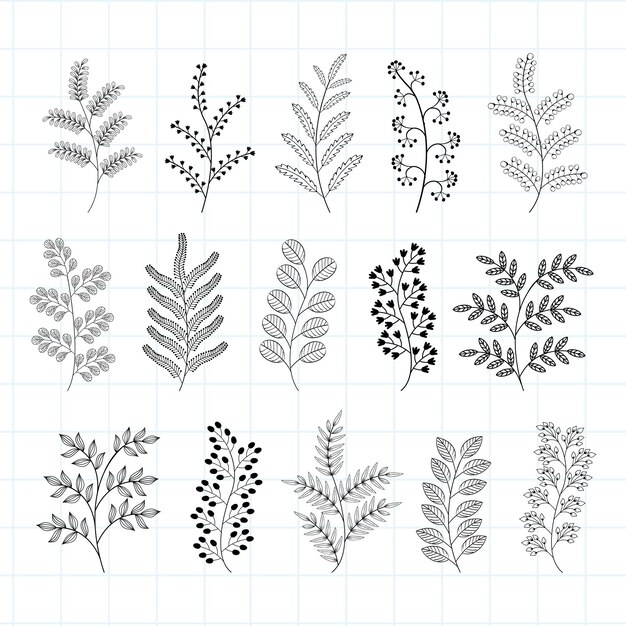 Vetor conjunto de elementos botânicos desenhados à mão e galhos de árvores