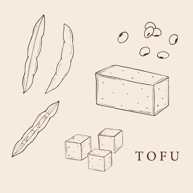 Conjunto de elementos de esboço de tofu