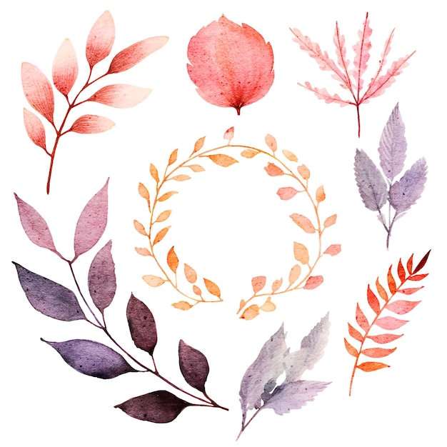 Conjunto de elementos de ilustração de folhas em aquarela