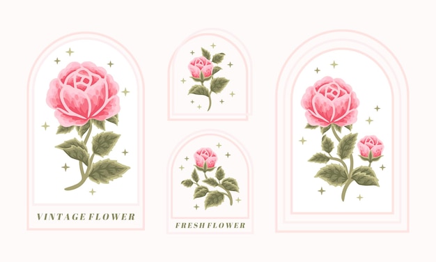 Conjunto de elementos de logotipo floral vintage beleza feminina rosa com moldura