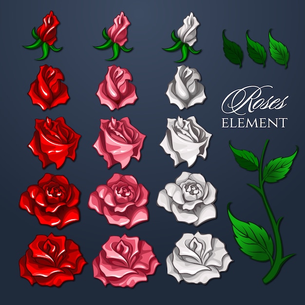 Vetor conjunto de elementos de rosas para design