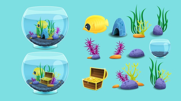 Conjunto de elementos do aquário.