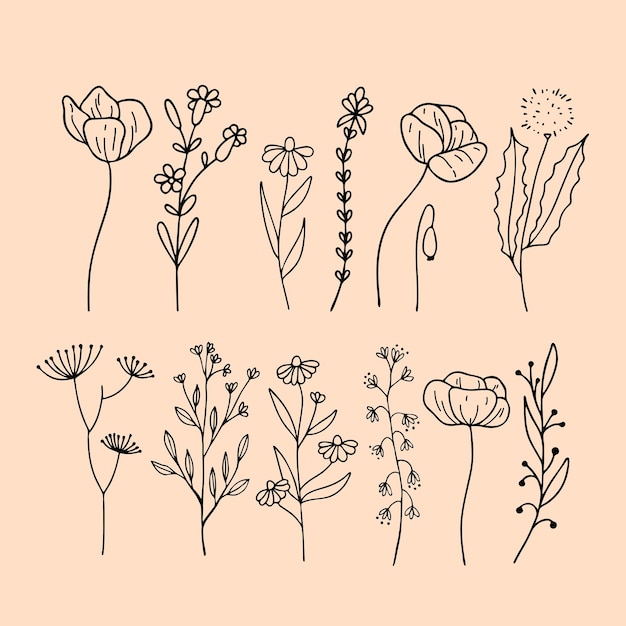 Conjunto de elementos florais, folha botânica, elementos decorativos desenhados à mão