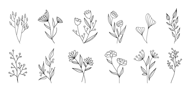 Conjunto de elementos florais vintage do vetor.