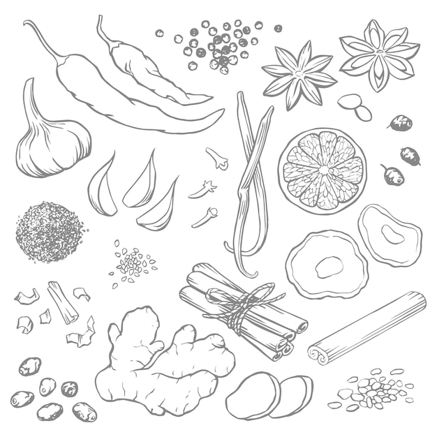 Imagem Vetorial. Desenho Colorido Da Rúcula. Esboço De Vegetação, Tempero,  Imitação De Tinta. Royalty Free SVG, Cliparts, Vetores, e Ilustrações  Stock. Image 88290672