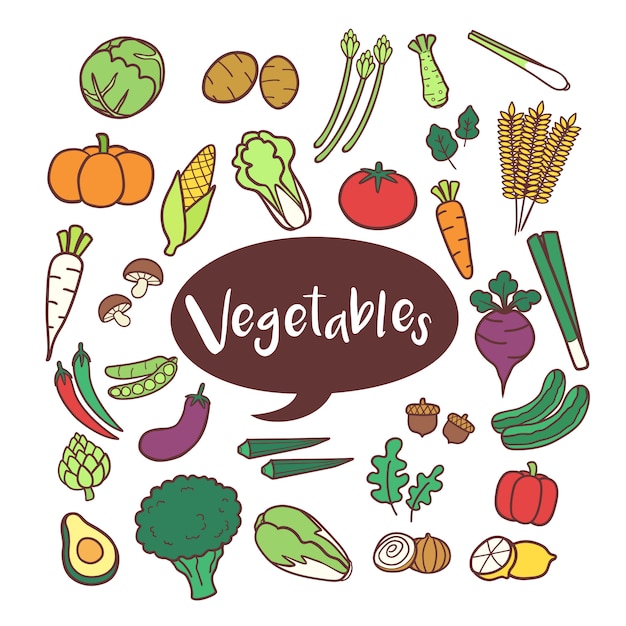 Conjunto de elementos vegetais na mão desenhada doodles