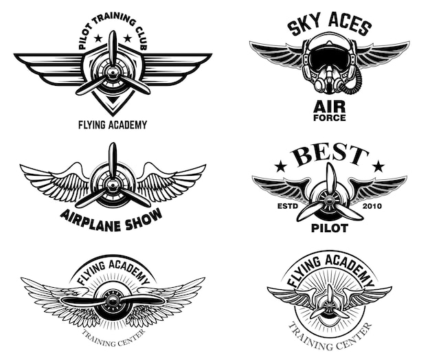 Conjunto de emblemas vintage de avião