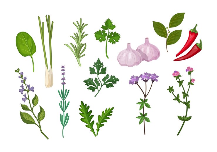 Vetor conjunto de ervas verdes frescas e plantas com flores