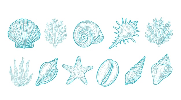Conjunto de esboços de conchas e desenhos de corais em estilo vintage Elementos de design marinho desenhados à mão Elementos de natureza marinha vintage em estilo esboço