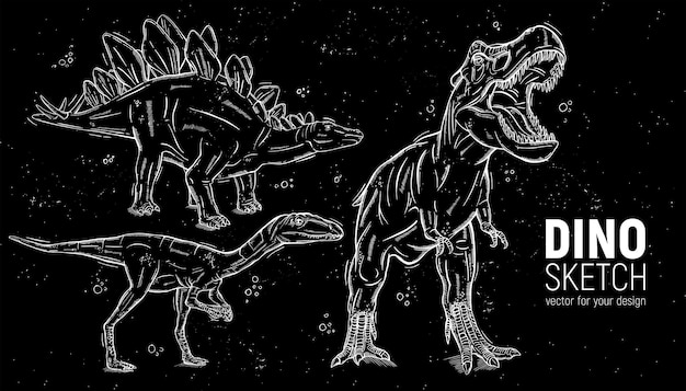 Vetor conjunto de esboços de dinossauros desenhados à mãoestegossauro tiranossauro e deinonico