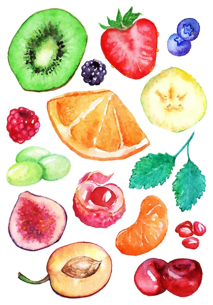 Conjunto de fatias de frutas exóticas em aquarela vetor isolado