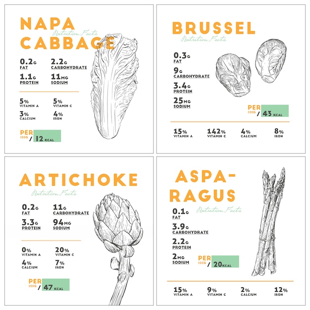 Vetor conjunto de fatos de nutrição de vegetais