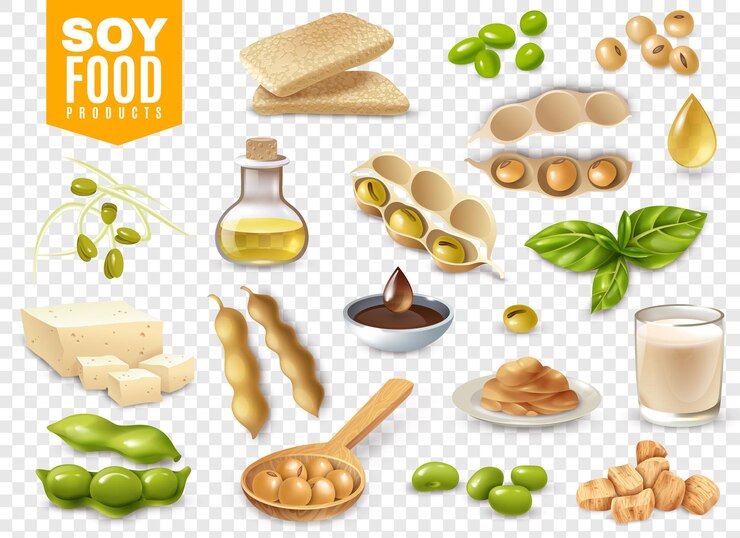 Vetor conjunto de feijões com folhas de plantas e produtos alimentares de soja isolados na ilustração transparente