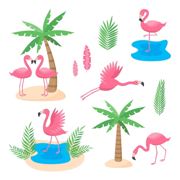 Vetor conjunto de flamingos cor de rosa com diferentes posturas