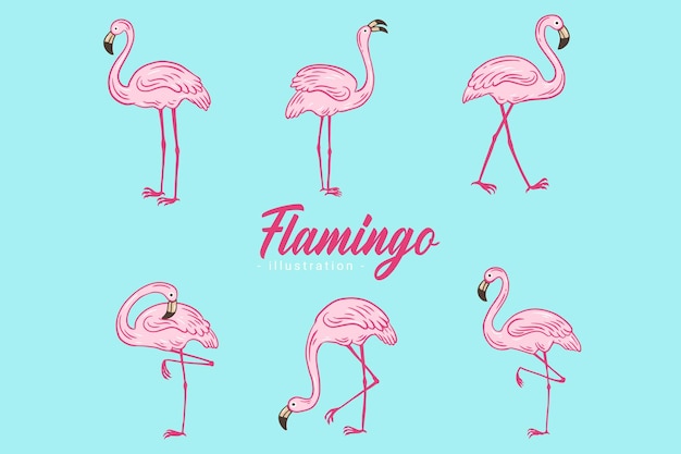 Conjunto de flamingos de pássaros rosa flamingo bonito estética tropical exótica coleção de estilo plano desenhada à mão