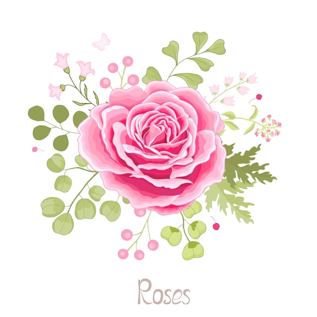 Conjunto de flores a ilustração vetorial de cartão elegante rosa