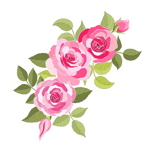 Vetor conjunto de flores a ilustração vetorial de cartão elegante rosa