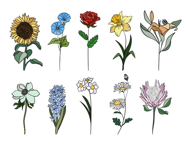 Conjunto de flores coloridas realistas Perfeito para ilustrações e educação botânica