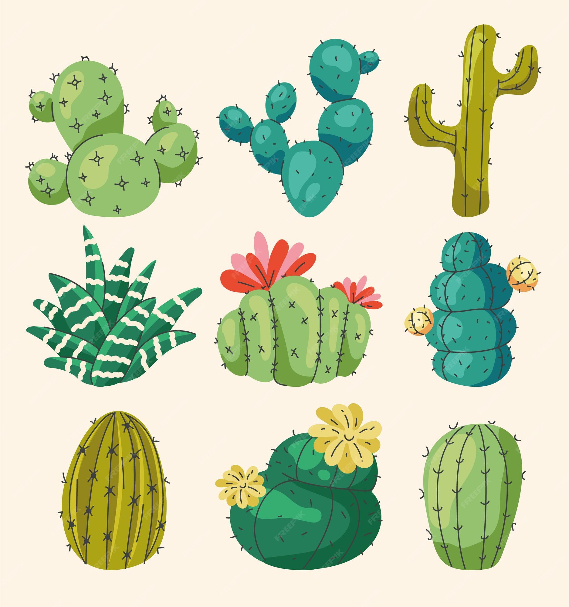 Conjunto de diferentes cactos verdes em pote de desenho em fundo