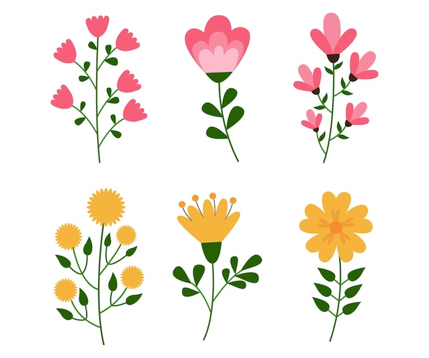 Conjunto de flores de primavera e verão coleção de flores florais decoração botânica desenhada à mão