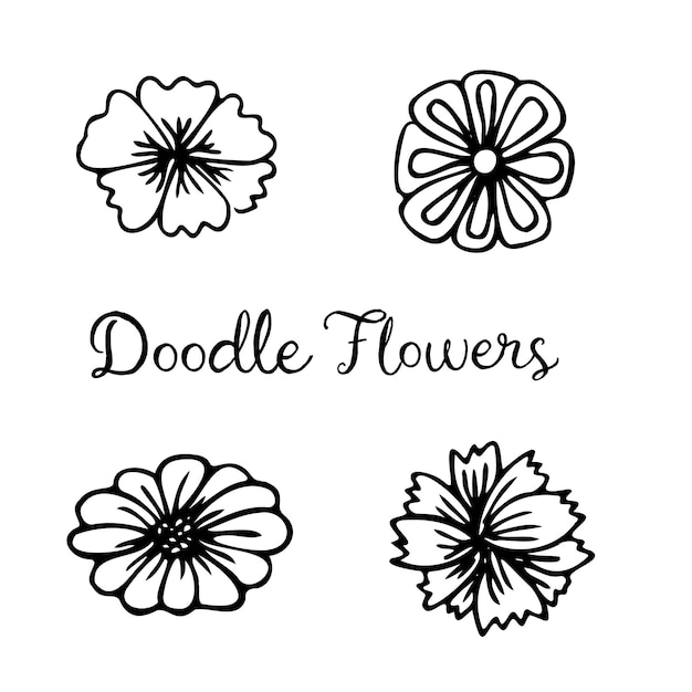 Conjunto de flores doodle coleção floral de esboço de linha desenhada à mão