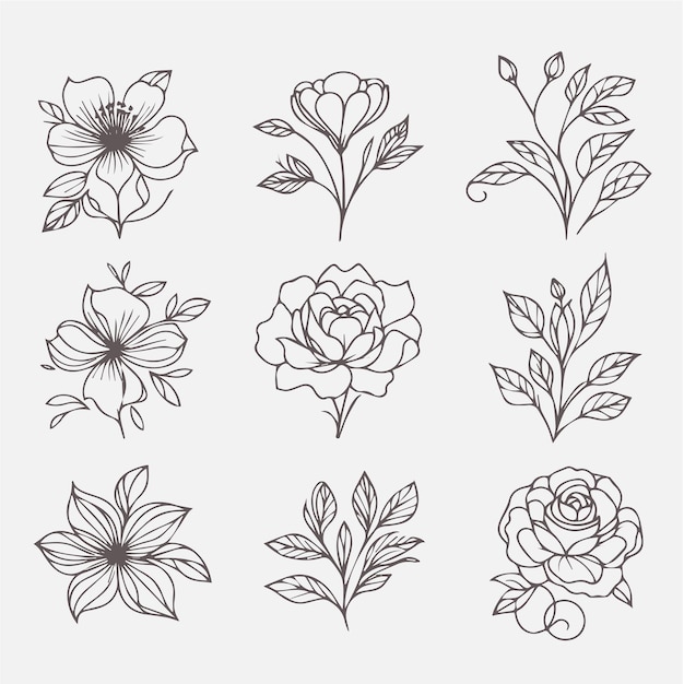 Conjunto de flores e folhas desenhadas à mão com ilustração vetorial.