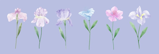 Conjunto de flores em aquarela