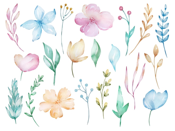 Vetor conjunto de flores macias em aquarela