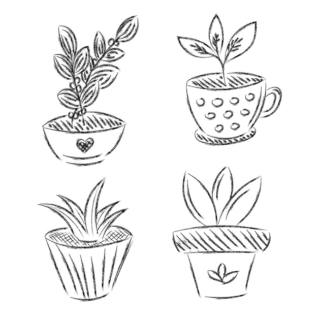 Conjunto de flores, planta de casa desenhada à mão, ícone de doodle de contorno vetorial Collectoin decorativo, ilustração de esboço de planta de casa em vaso para impressão isolada em fundo branco ilustração vetorial