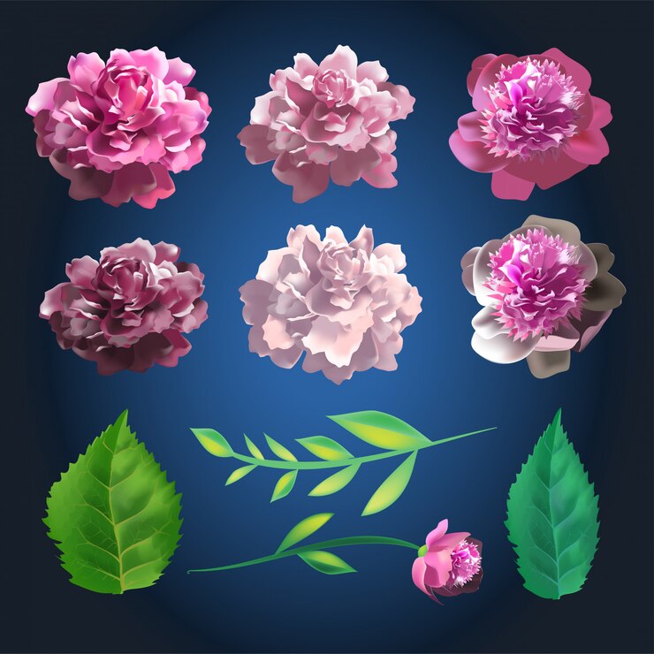 Vetor conjunto de flores rosa botânicas. coleção de verão de elementos de rosa e folhas. ilustração 3d realista.