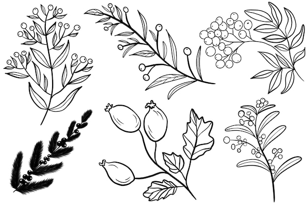 Conjunto de flores silvestres e galhos de inverno conjunto de doodle de contorno de flores
