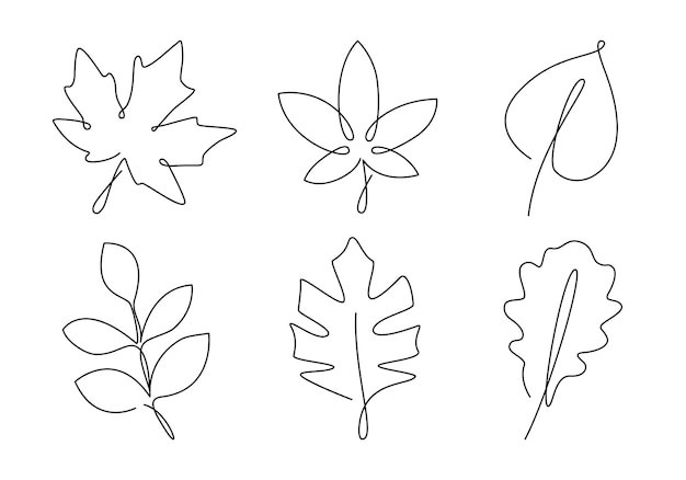 Conjunto de folhas abstratas mínimas. Plantas desenhadas à mão isoladas no fundo branco.