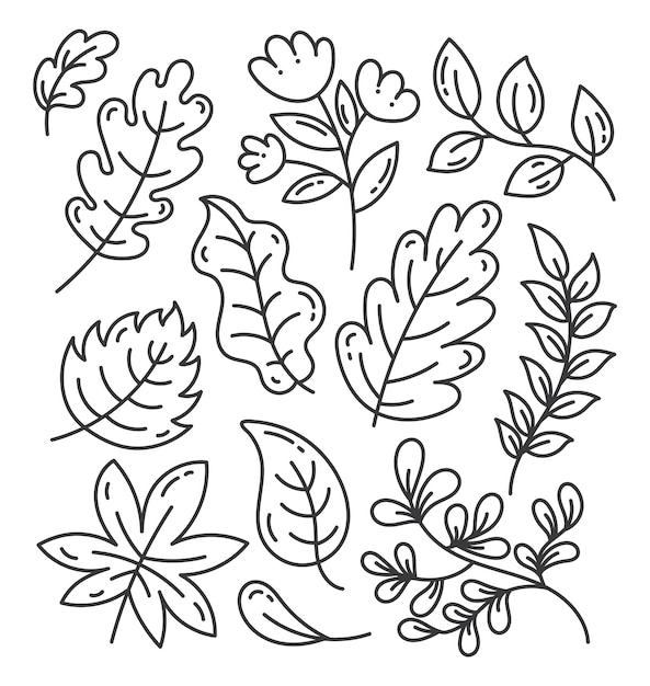 Conjunto de folhas de rabiscos de primavera e verão de outono preto e branco