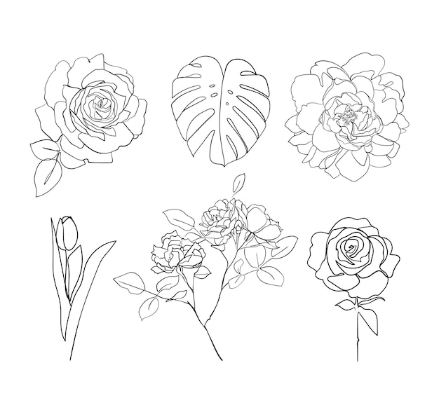 Conjunto de folhas e flores desenho de arte de linha. - ilustração vetorial
