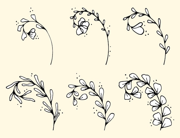 Conjunto de folhas e galhos de vetor de rabiscos desenhados à mão coleção de elementos de plantas florais de árvore