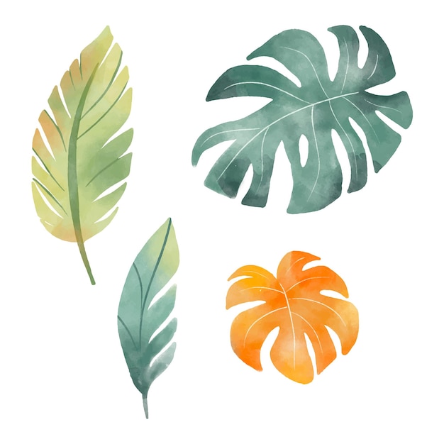 Conjunto de folhas tropicais em aquarela isoladas no fundo branco