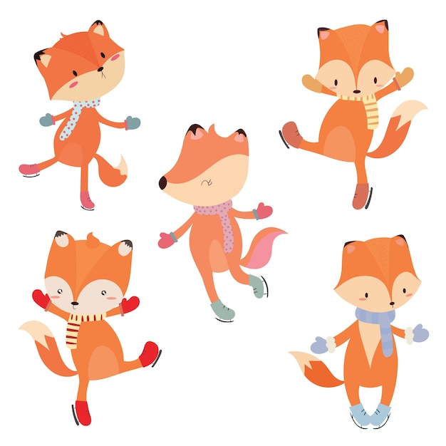 Conjunto de fox footed